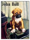 JOHN BULL POSTCARD