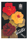WEBBS POSTCARD