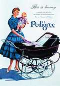 (Carte Postale)  Pedigree