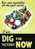 Your Own Vegetables