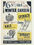 6 Stars from Winter Garden