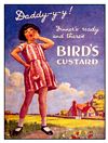 BIRD�S DADDY-Y-Y POSTCARD