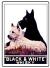 Black and White  Whisky
