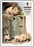 HARRIS PIGS FRIDGE MAGNET