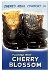 Cherry Blossom Cats