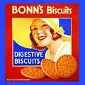 Single Coaster - Bonn`s Biscuits