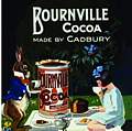 Single Coaster - Bourneville Cocoa