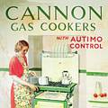 Single Coaster - Cannon Gas Cooker