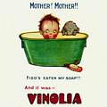 Single Coaster - Mother Vinolia