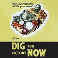 Single Coaster - Dig For Victory