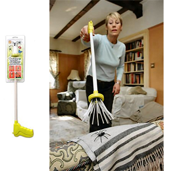 spider-catcher-md1.jpg